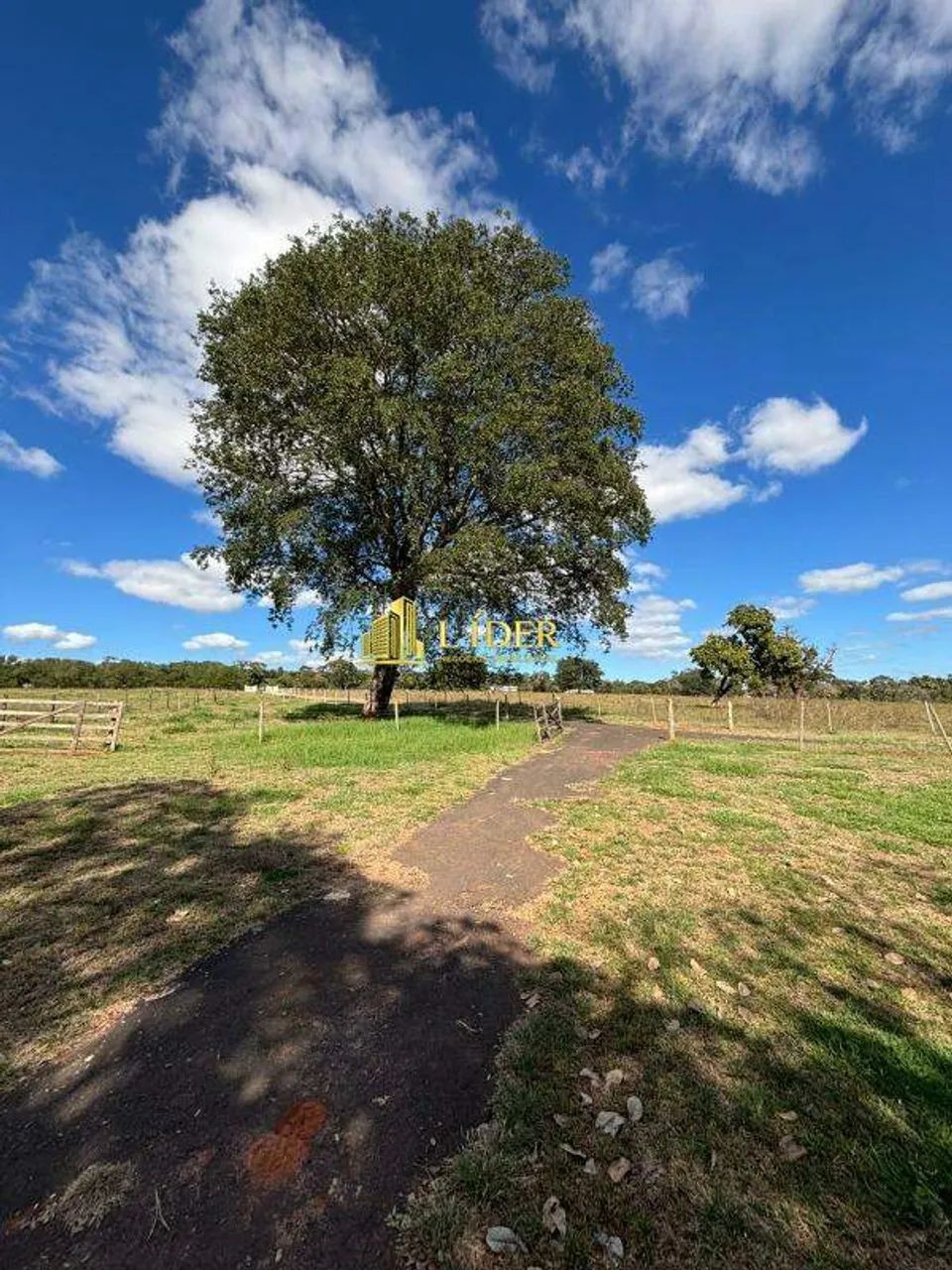 FAZENDA NA REGIÃO DE XAPETUBA