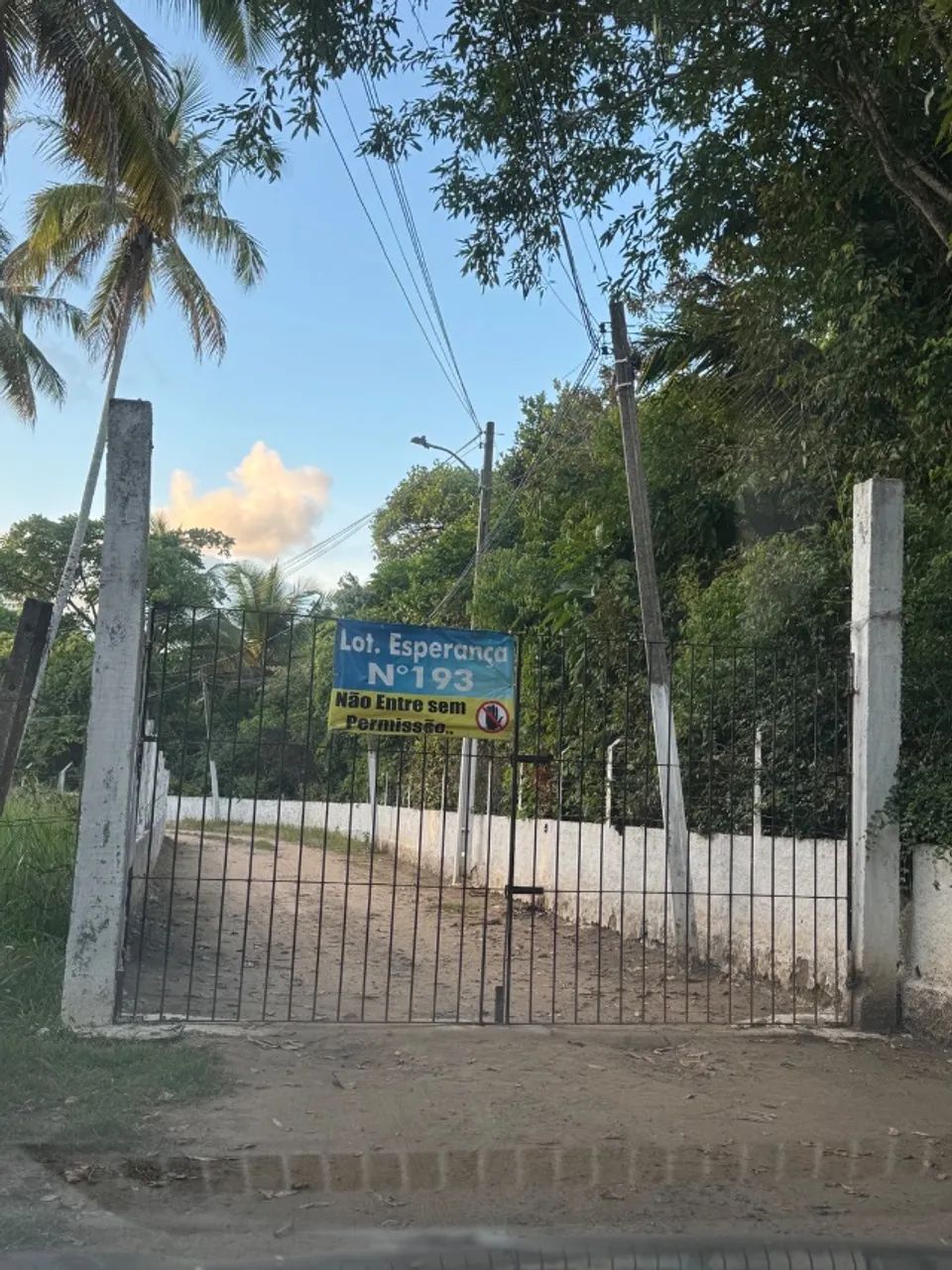 Foto - Paulista - Mirueira