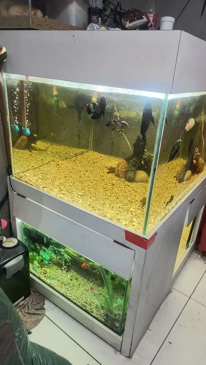 Aquário 340 litros  - Foto 3