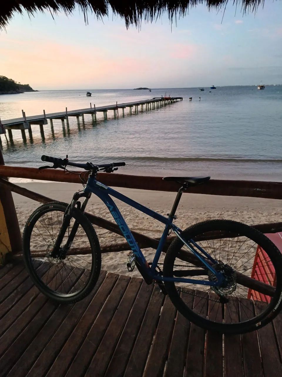 Bicicleta aro 29 absolute. 