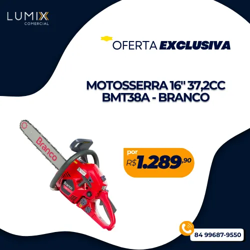MOTOESMERIL 6