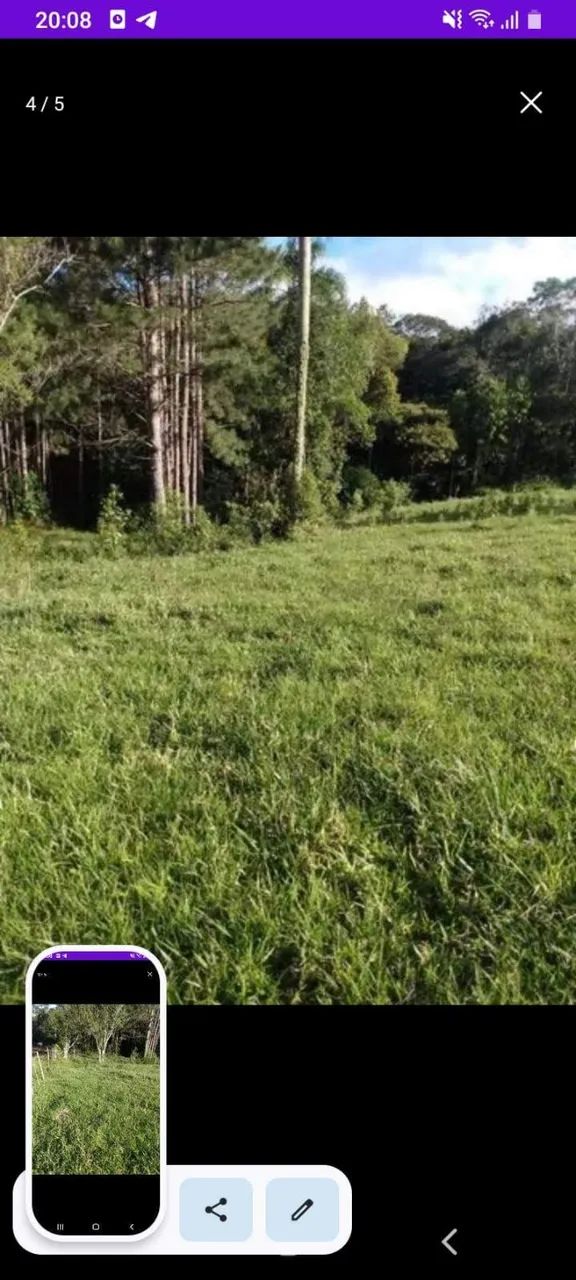 Terreno 3600 m2 - Foto 3