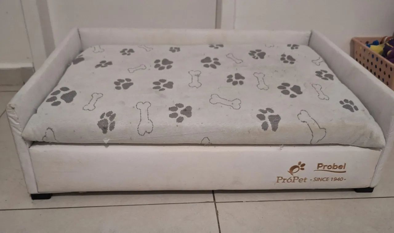 Opportunity! Pet bed box (brand: Problema Pet), lightly used. Includes mattress (R$250).