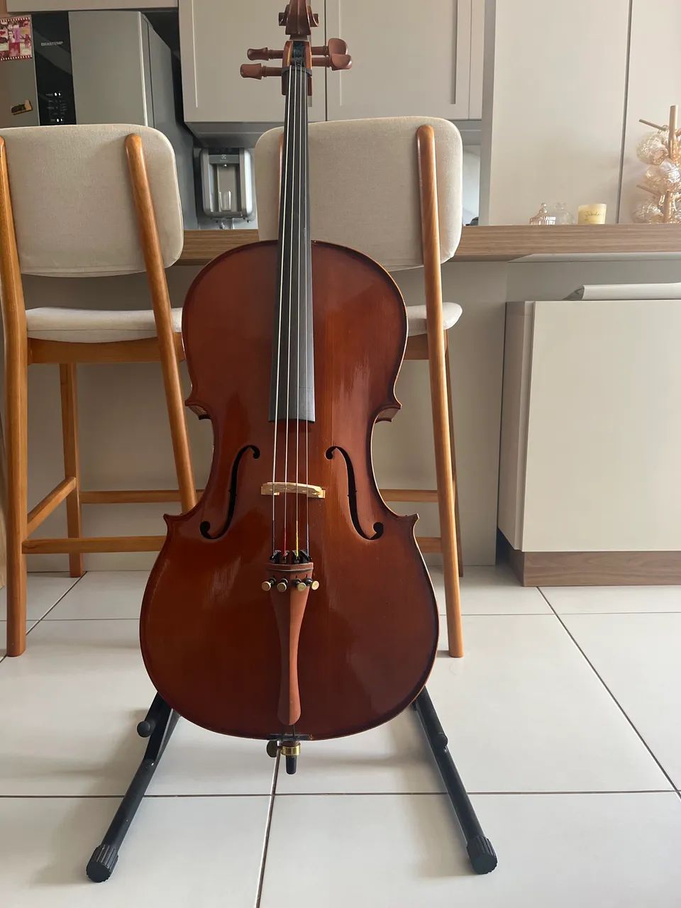 Violoncelo Eagle CE 300 - 3/4 - ótimo estado 