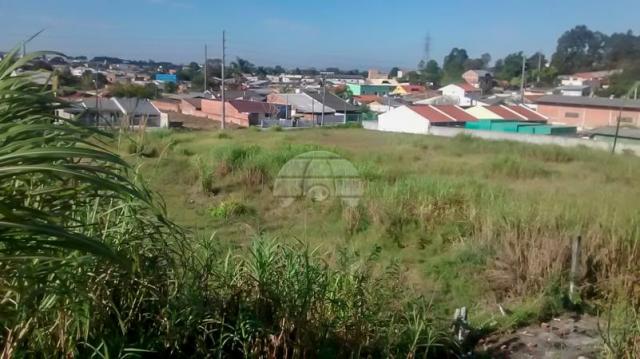 Terreno à venda em Atuba, Curitiba cod:152877 - Foto 17