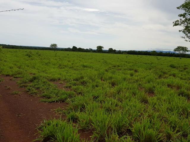 Fazenda c/ 357 alqueires em Porto Esperidião - Foto 15