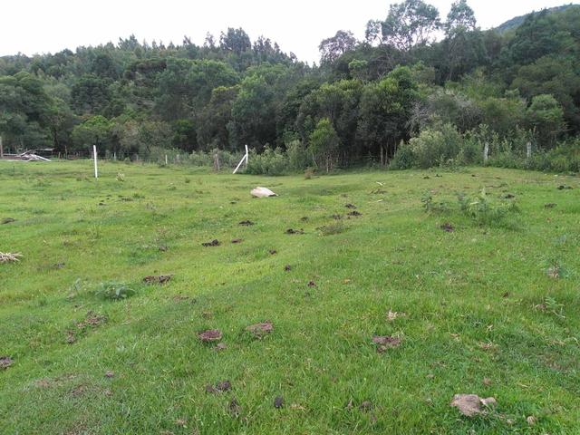 Fazenda de 93 Alqueires .Guabiroba - Guarapuava PR .R$ 30 mil por Alqueire - Foto 10