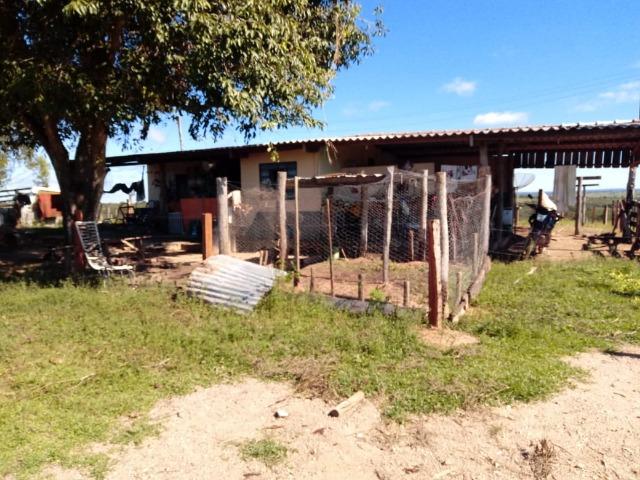 1586 Hectares, Municipio de Camapuã MS - Foto 9