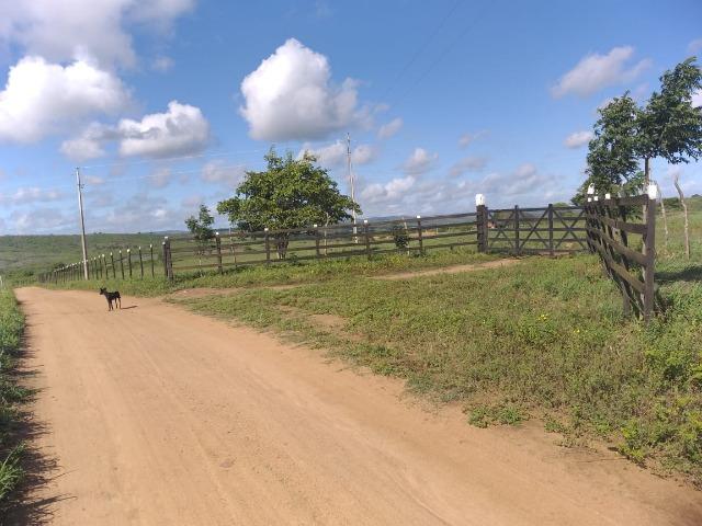Propriedade de 8 hectares-toda cercada-com 2 casas, a 5 km de Apoti-PE - Foto 12
