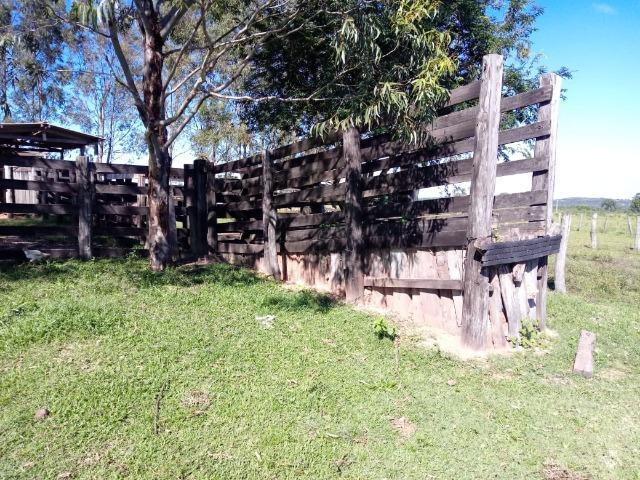 1586 Hectares, Municipio de Camapuã MS - Foto 4
