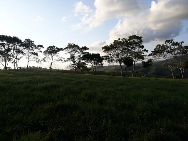 Vendo propriedade união dos Palmares - Foto 6
