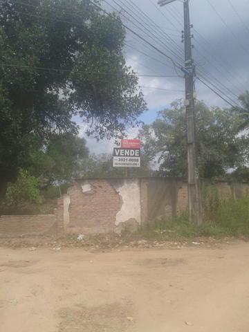 Excelente área de terra no povoado de boa hora, próximo ao parque viver tomba - Foto 16