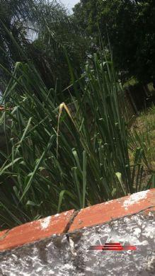 Terreno à venda em Porto, Cuiabá cod:585 - Foto 4