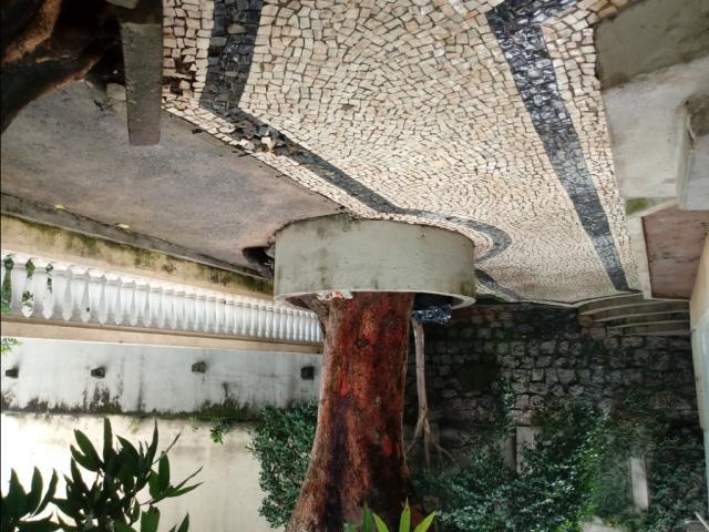 Aluguel terreno com 1000m² na avenida leitão da silva em vitória - Foto 5