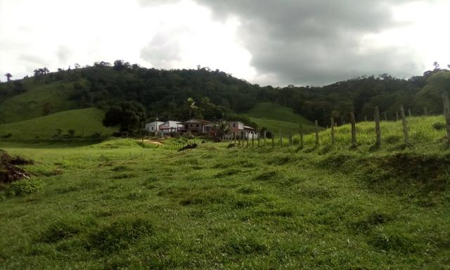 Ótima Fazenda Mista Gado e Cacau - Foto 2