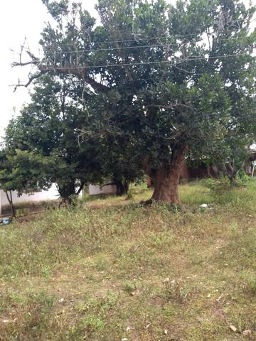 Vendo granja - Foto 14