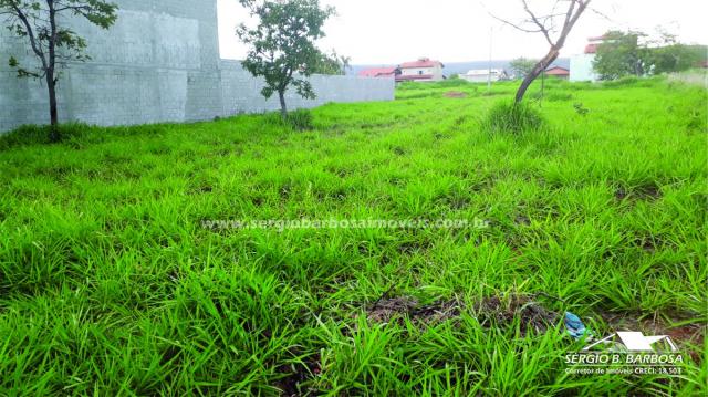 Área, Jardim Belvedere, Caldas Novas-GO - Foto 4
