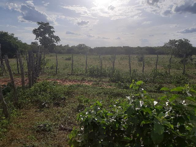 Vendo fazenda ou troco - Foto 5