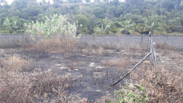 Vendo e troco terreno em lagoa do pau Coruripe - Foto 4