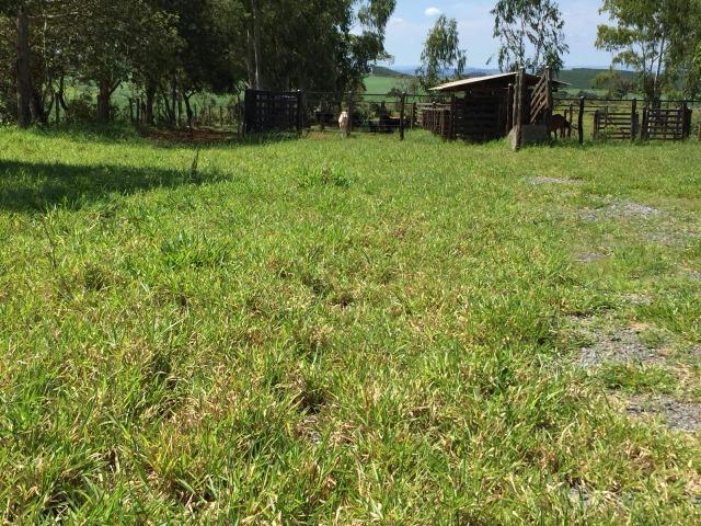 Fazenda em bambui 440 hectares 3.000.000.00 - Foto 11