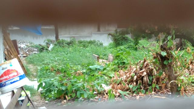 Grande lote em Porto de Galinhas- Área central!! Oportunidade de investimento!! - Foto 6