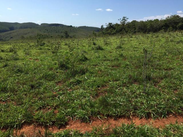 Fazenda em bambui 440 hectares 3.000.000.00 - Foto 9