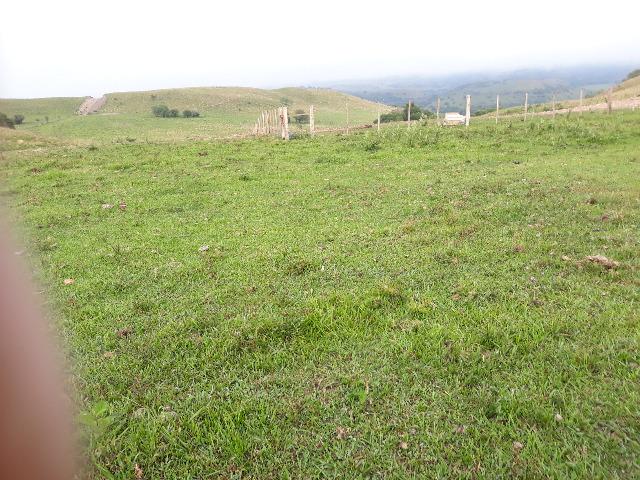 Fazenda 83,03 hs Santiago/RS - Foto 4