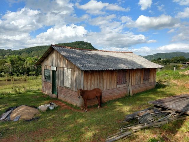 Chácara 5.000 m² - lomba grande - novo hamburgo - rs - Foto 4