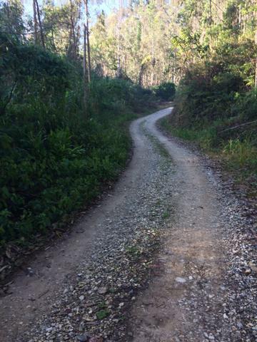 Terreno/Cachoeira - Foto 8