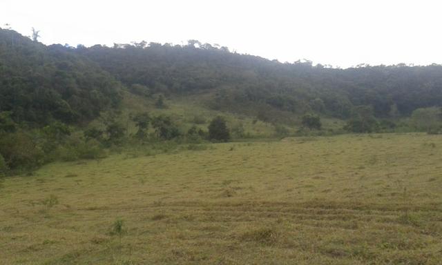 Fazenda - Foto 17