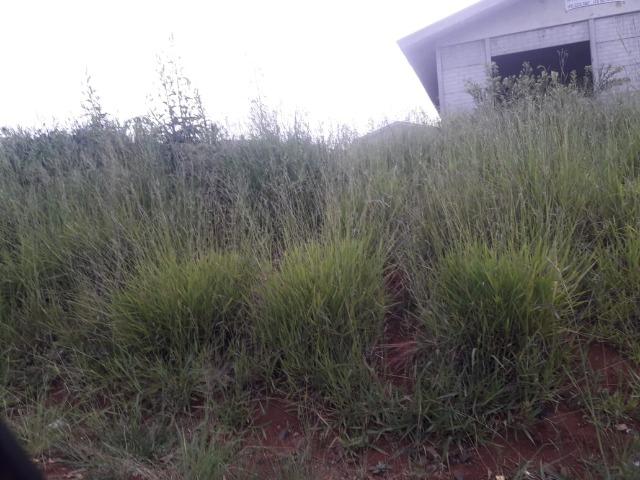 Vendo Terreno 12x25 metros. Feroz II Guarapuava - Foto 3