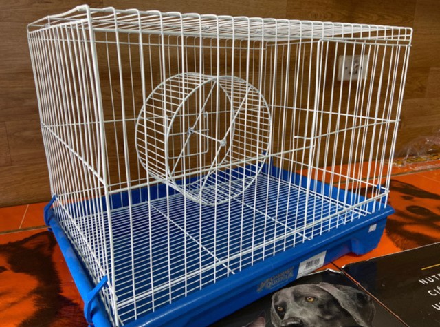 Gaiola Grande para Porquinho da India 