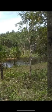 Lindo Terreno 50x60 KM 17 BR 174