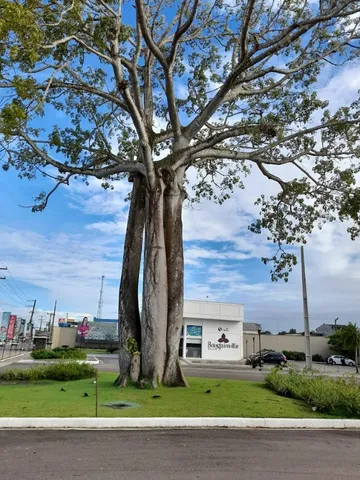 Big Oferta Bouganville residencial com localização privilegiada