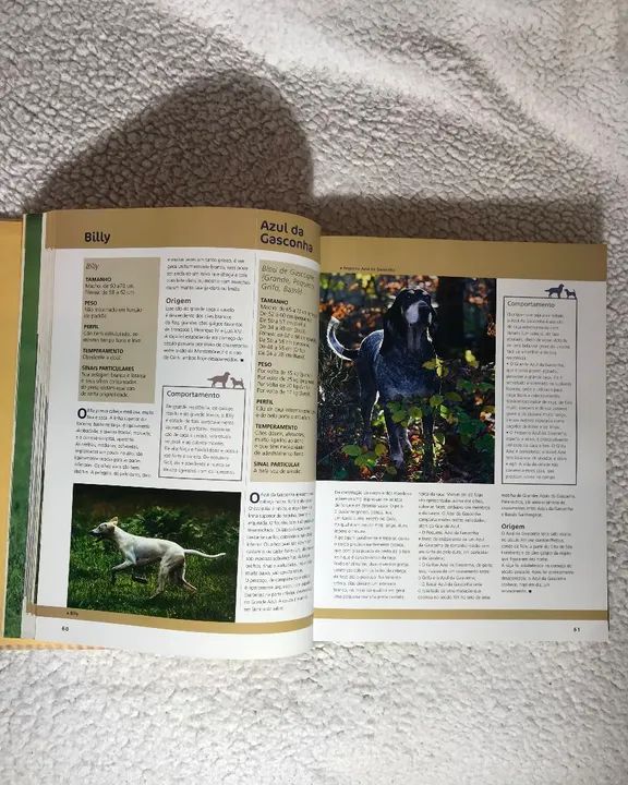 Livro Larousse Do Cão E Do Cãozinho  - Foto 4