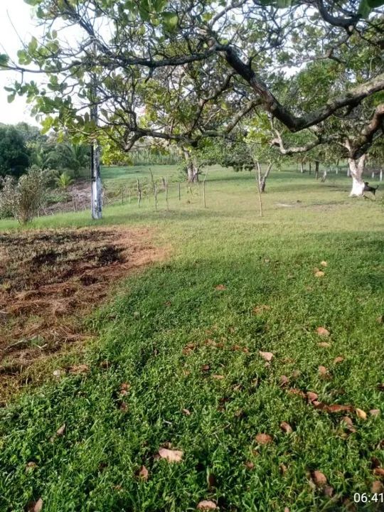 foto - São Lourenço da Mata - Muribara