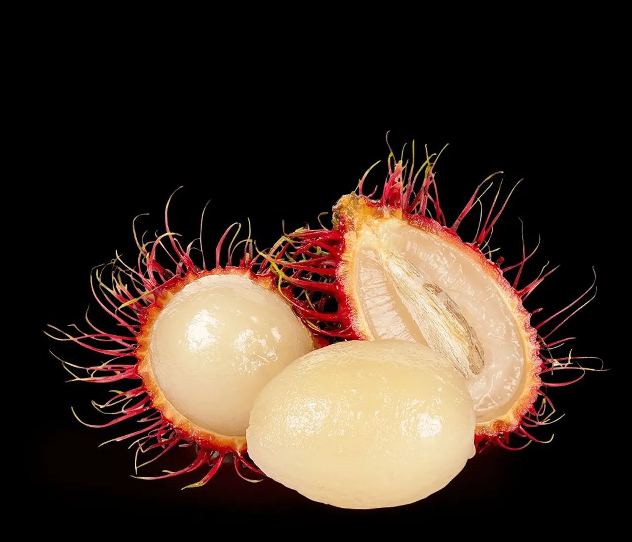 Mudas do rabutam enxertado 