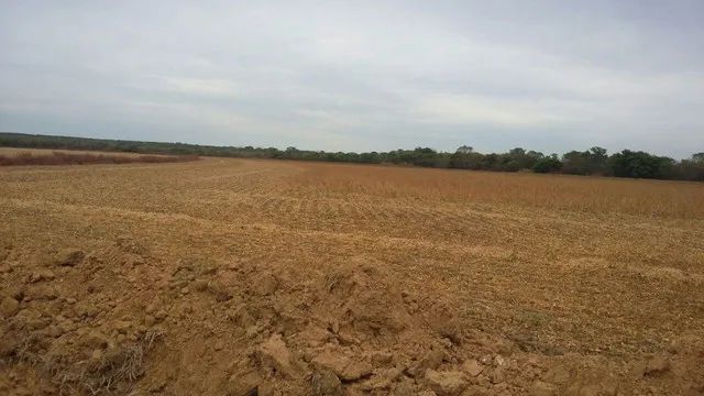 Fazenda Agrícola em Dueré - Tocantins.   Área Total:  360 Alq. (1.740 Há). - Foto 4