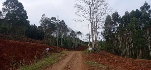 Chácara 21 hectares, valor 300,000,00 avista  - Foto 5