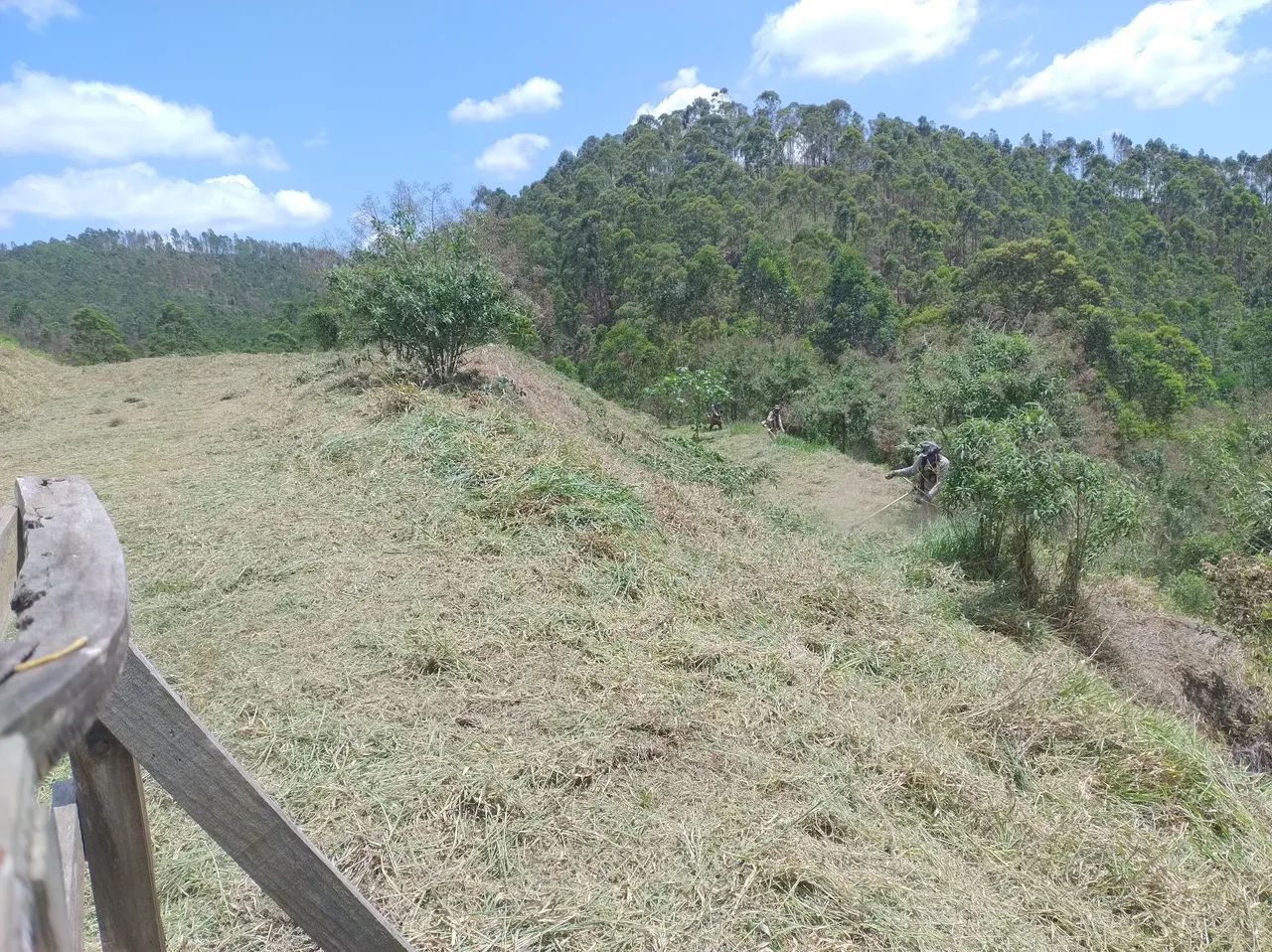Estamos contratando jardineiro e ajudante Ótimo salário, cesta básica e ajuda de custo - Foto 2