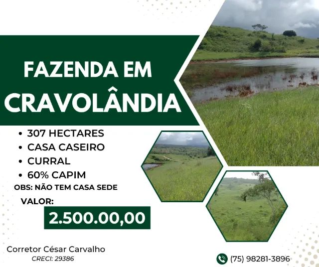 FAZENDA EM CRAVOLÂNDIA - 307 HECTARES