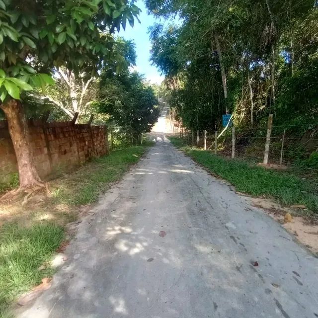 VENDO SITIO BRASILEIRINHO KM8  - Foto 5