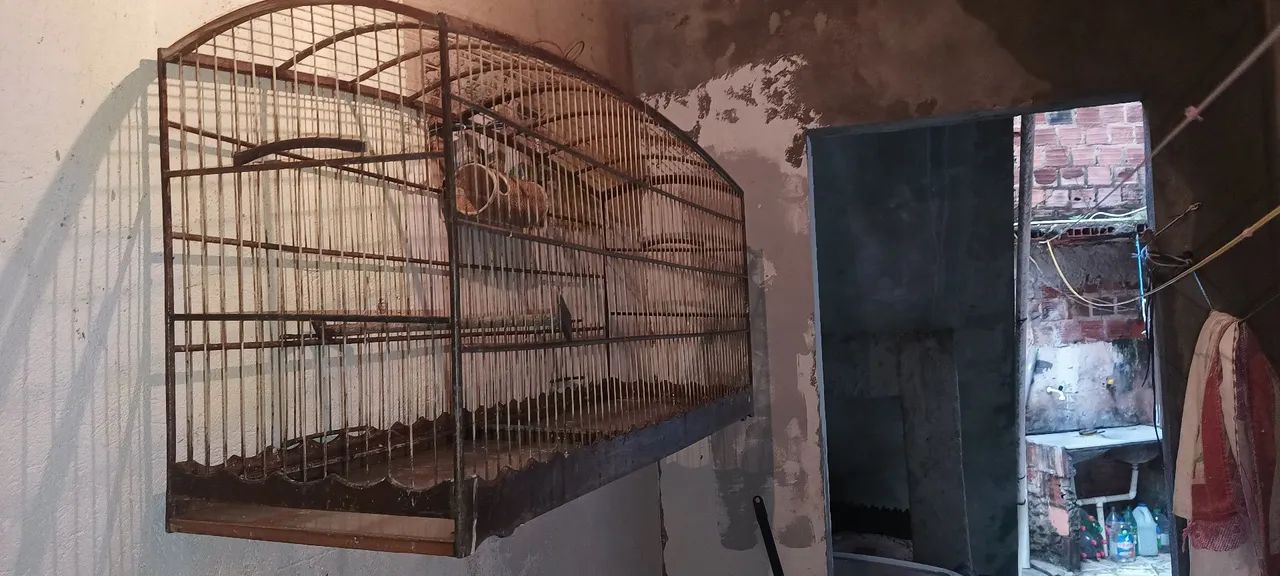 Gaiola voador  - Foto 3