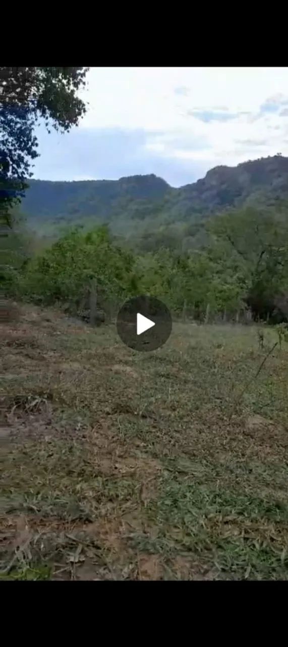 Vendo 97 hectares em Corguinho MS. - Foto 4