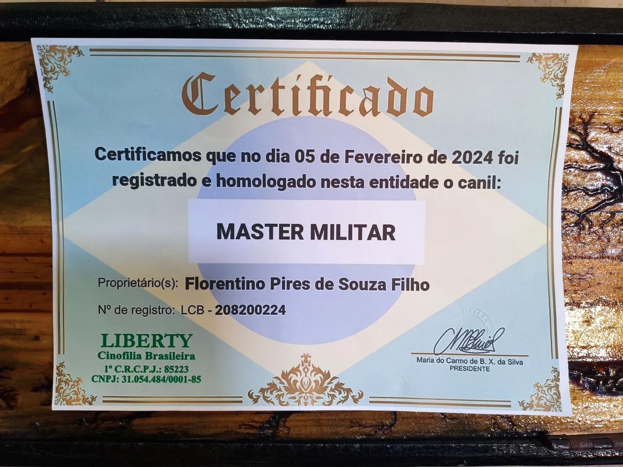 Vendo filhotes de Rottweiler com pedigree 