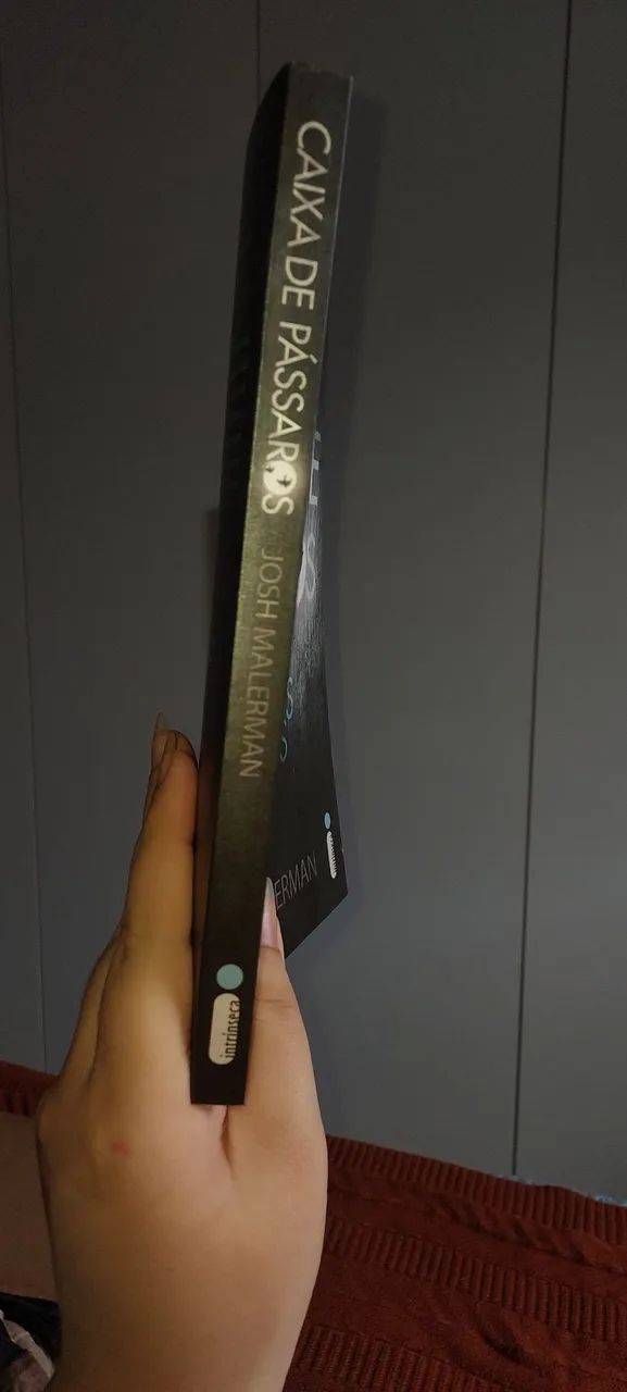 DESAPEGO - Livro Caixa de Pássaros (Josh Malerman)<br> - Foto 4