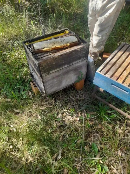 30 Caixas com Abelha. Prontas para Produção - Foto 3