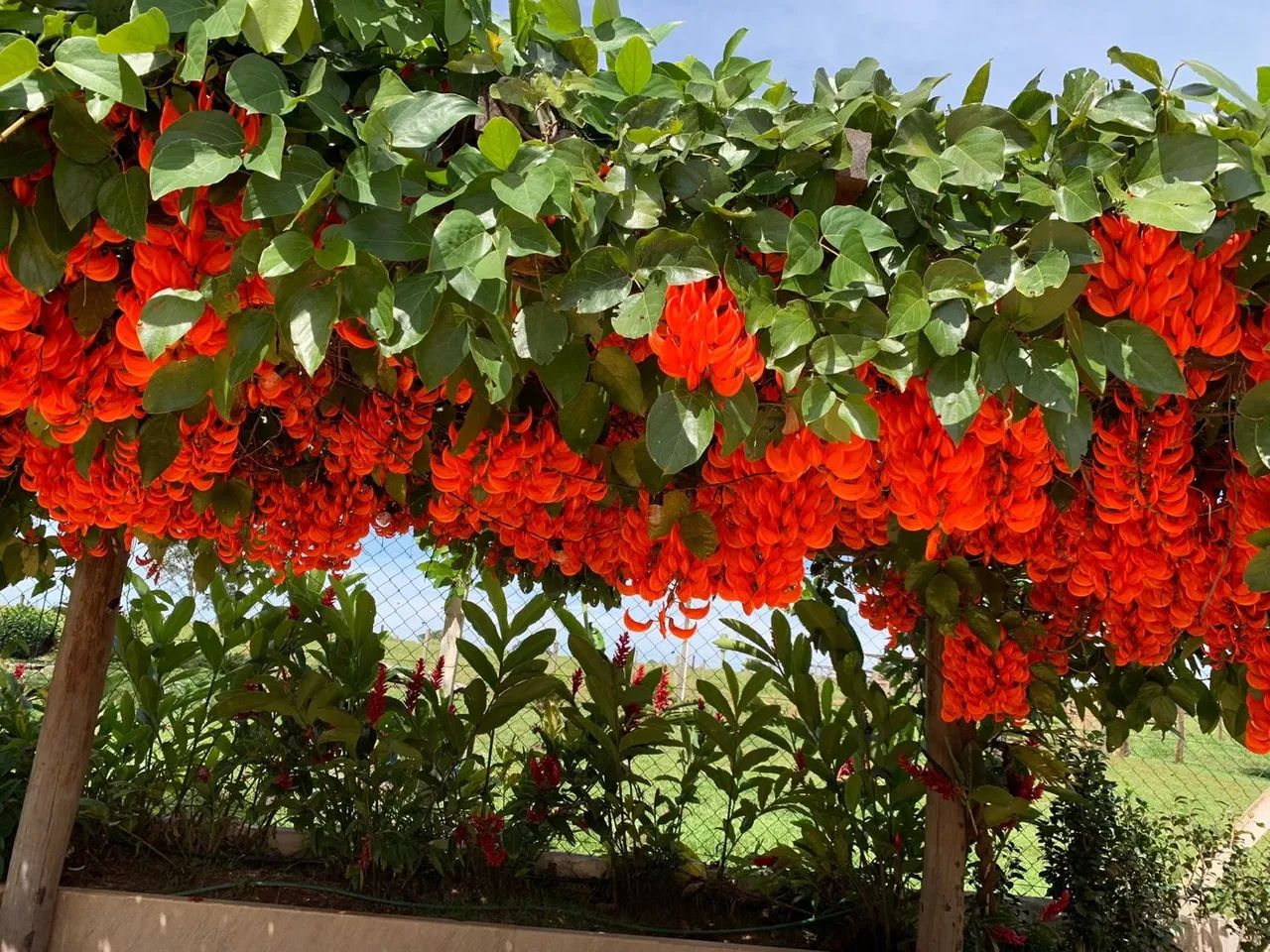 Fazenda de luxo em Uberlândia 