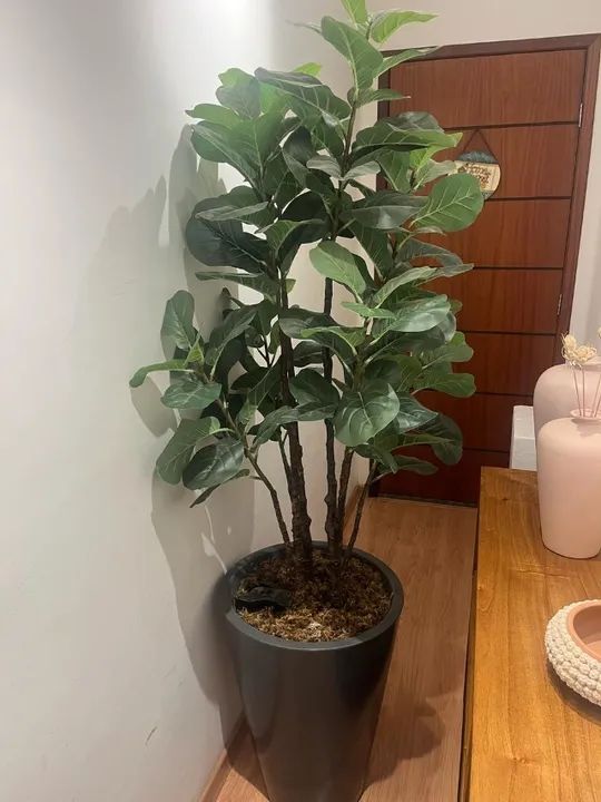 Planta artificial de Chão Ficus Lyrata - 180CM