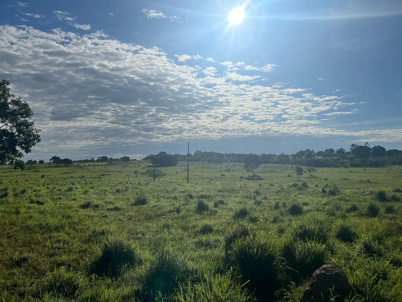 SITIO LINDO PARAISO EM CUIABA 16,8 Hectares  - Foto 4